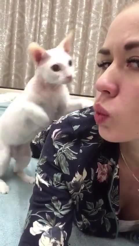 猫猫爆料视频,揭秘视频背后的趣味瞬间 第2张 猫猫爆料视频,揭秘视频背后的趣味瞬间 第2张