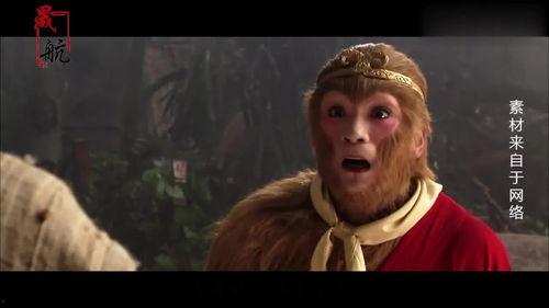 仙人名人爆料大全视频,仙人名人爆料大全视频精彩瞬间汇总  第3张