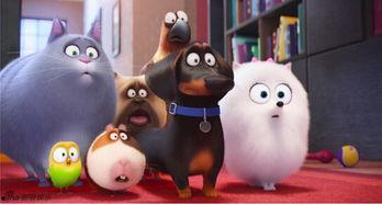 萌宠大机密在线观看,揭秘宠物界的欢乐冒险之旅  第2张